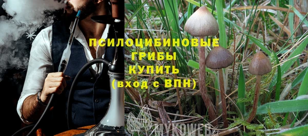 прущая мука Коряжма